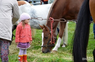 Foire de Chaindon 2011