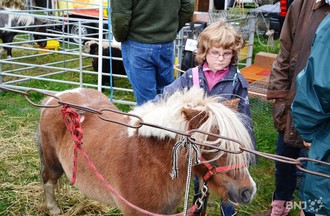 Foire de Chaindon 2011