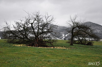 Dégâts au Val Terbi