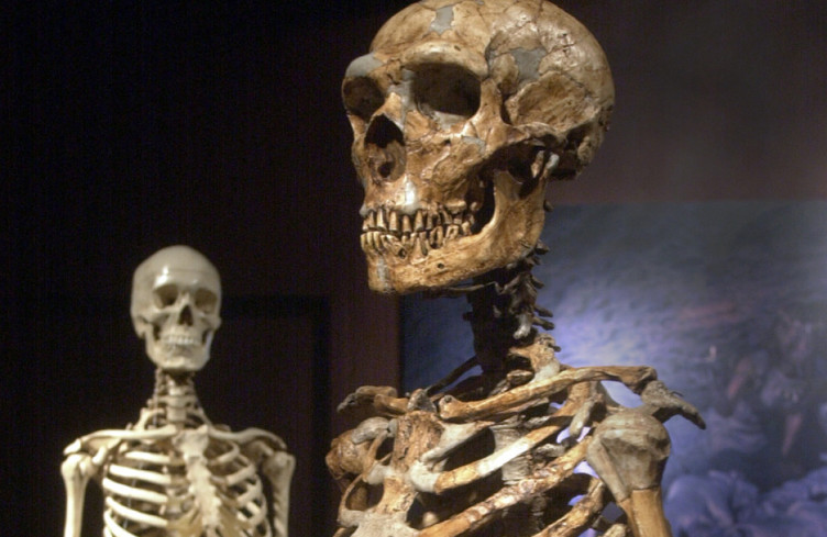 Des gènes de la créativité ont donné à Homo sapiens un avantage