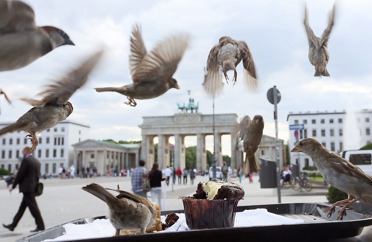 L'Allemagne assouplit les restrictions pour les personnes vaccinées