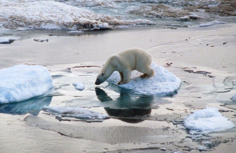 L'Arctique a vécu son année la plus chaude jamais enregistrée
