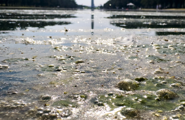 Washington: Trump menace quiconque endommagerait le bassin rénové