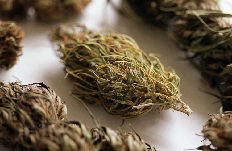 Il « déclare » 117 kg de cannabis à la douane germano-suisse