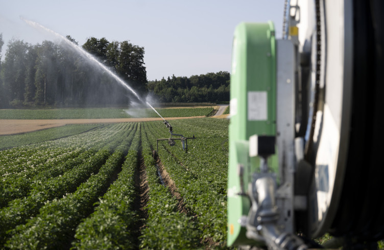 Les agriculteurs face au défi de la canicule