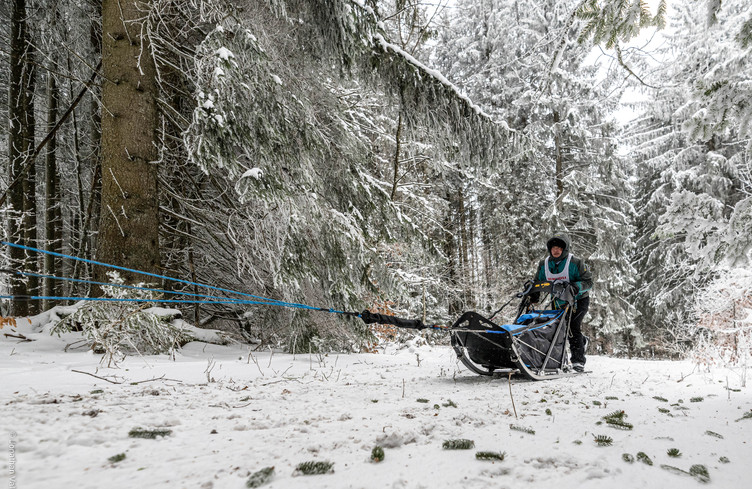 Courses de chiens de traîneaux à Saignelégier