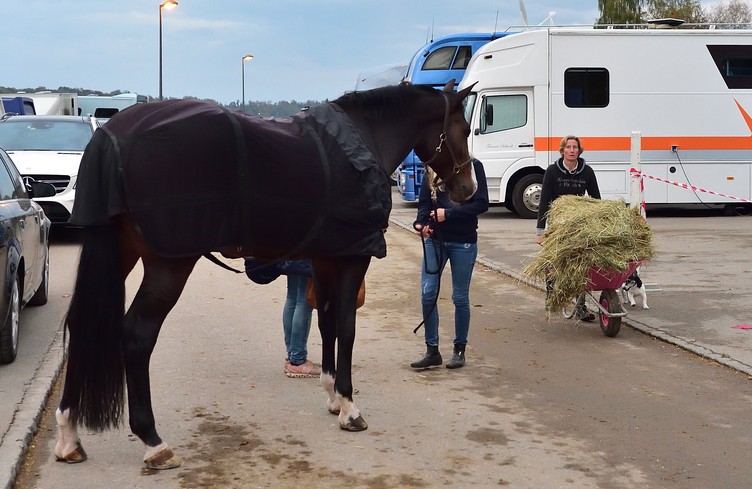 Challenges de Chevenez