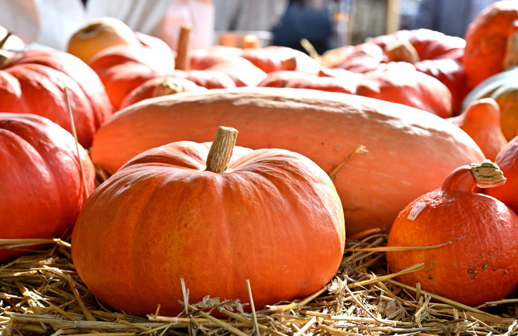 Marché d'automne de Champoz