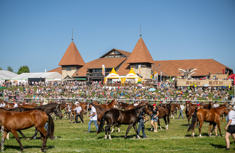 Marché-Concours - journée de dimanche