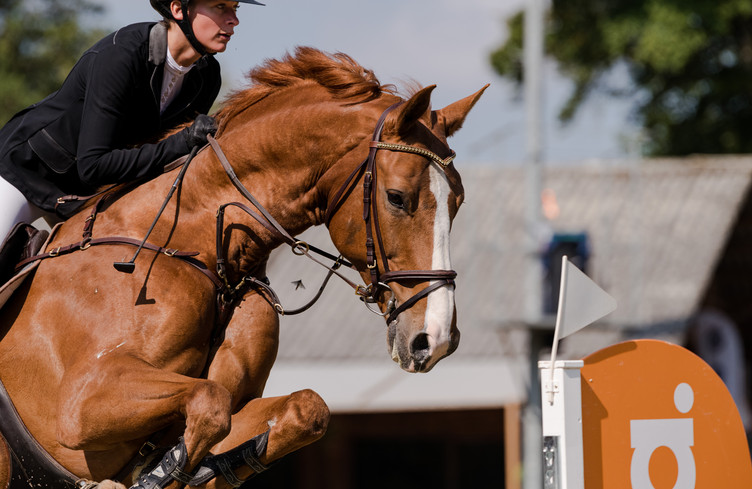 Concours hippique national du Mont-de-Coeuve