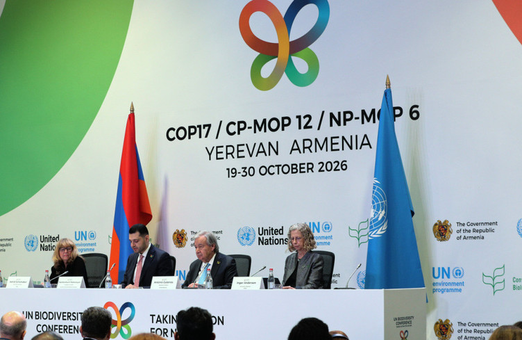 COP17: le monde adopte plusieurs textes pour protéger la nature