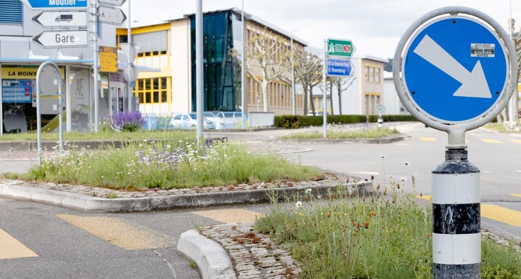 Une formation à la gestion durable des espaces verts pour les voyers