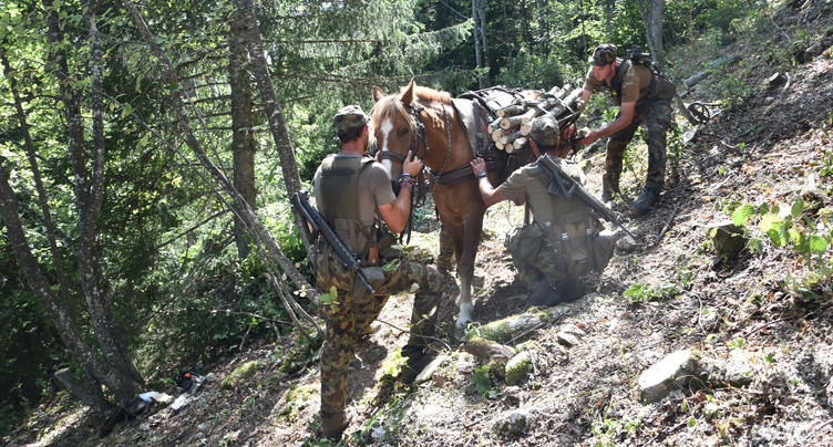 Le Parc Chasseral et l’armée à cheval sur la biodiversité