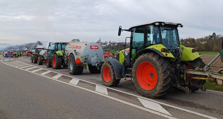 « La p’tite phrase » - Bonté agricole