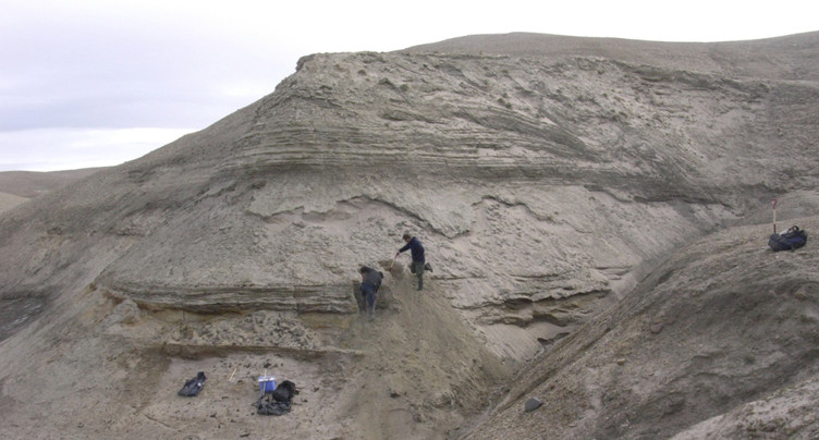 Le plus vieil ADN, découvert au Groenland, a 2 millions d'années