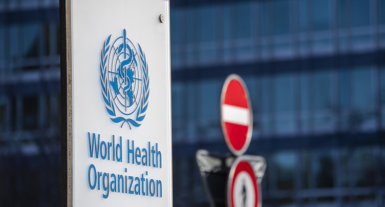 La variole du singe n'est pas une urgence sanitaire mondiale (OMS)
