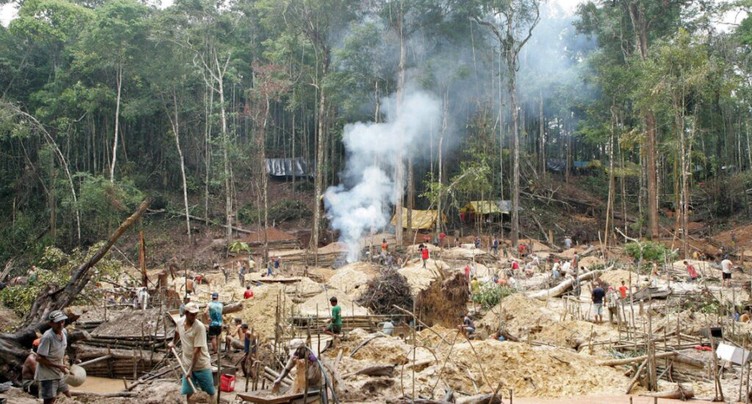 Déforestation record en Amazonie au premier semestre 2022
