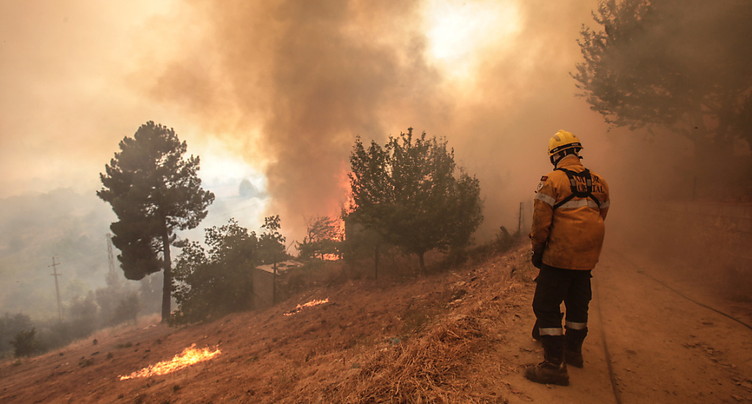 Portugal: 10'000 hectares partis en fumée dans une région protégée