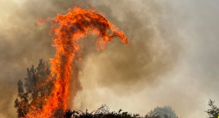 Un été record de surfaces brûlées en Europe