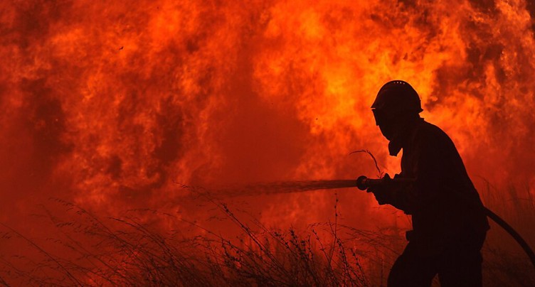 Reprise du feu de forêt dans un parc naturel du centre du Portugal