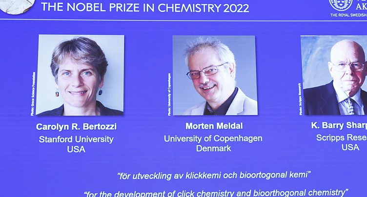 Le Nobel de chimie aux inventeurs de la « chimie clic »