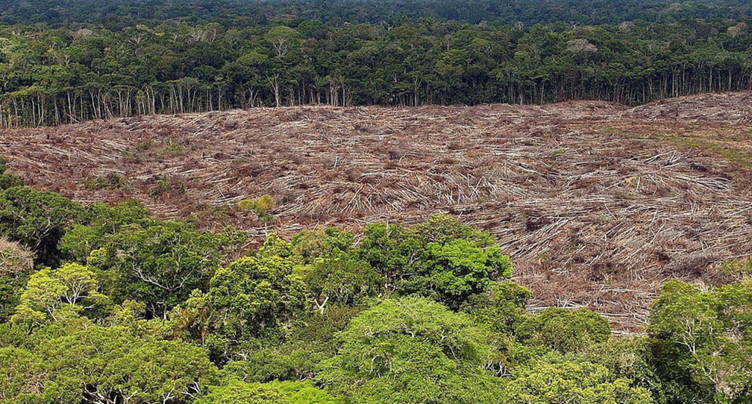 Déforestation record en Amazonie pour un mois de septembre