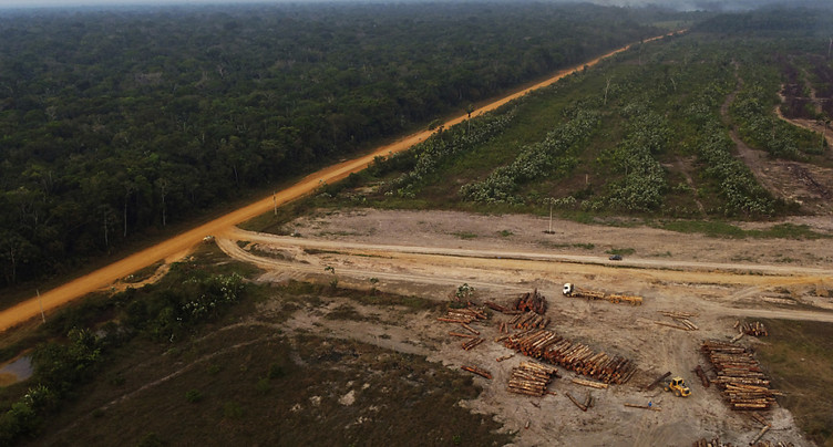 L'activité humaine, moteur de la destruction de l'Amazonie (étude)