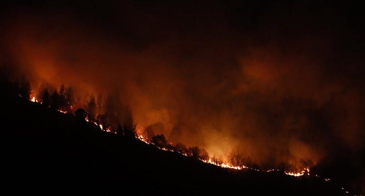 La vague de feux de forêt dans le nord de l'Espagne « sous contrôle »