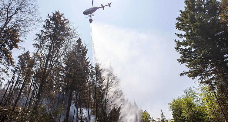Nouvelle aide de pompiers de l'étranger pour combattre les feux de forêt au Canada