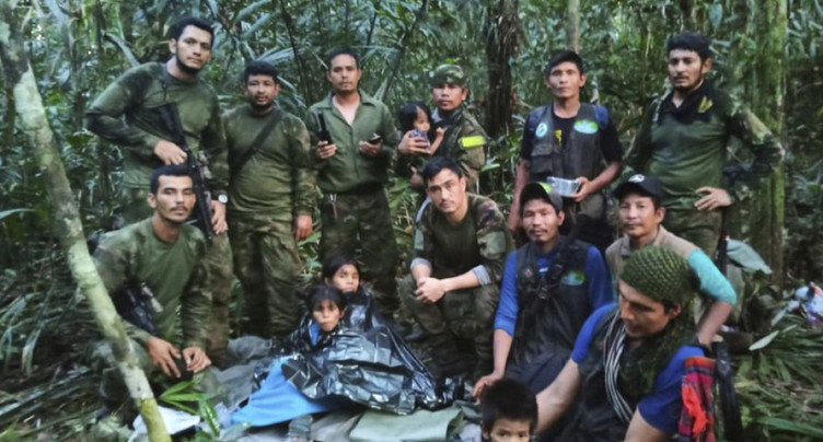 Les quatre enfants perdus dans la jungle retrouvés vivants