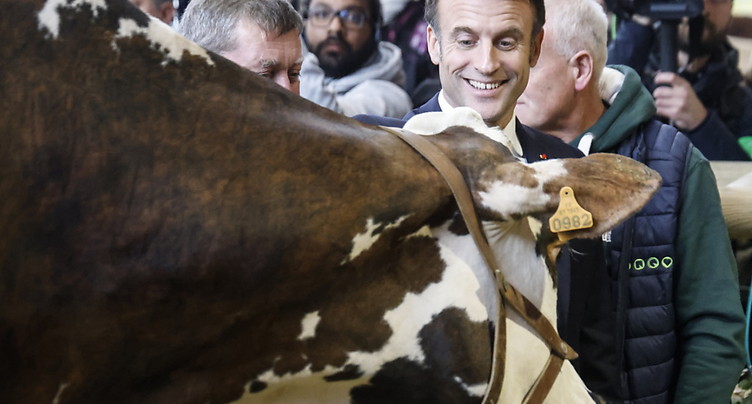 Macron appelle à ce que le Salon de l'agriculture « se passe bien »