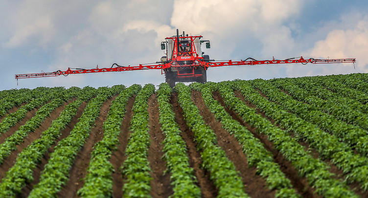 La Suisse devrait s'aligner sur l'UE pour autoriser des pesticides