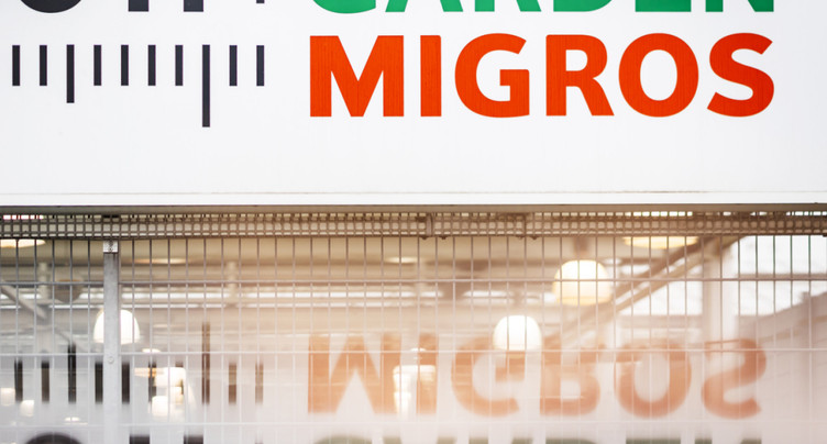 Dix magasins Do it + Garden ont trouvé des repreneurs