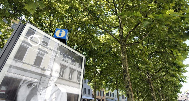 Les platanes urbains rafraîchissent l'air au-delà de 39 degrés