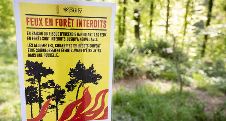 Risque marqué d'incendie de forêt dans plusieurs régions de Suisse