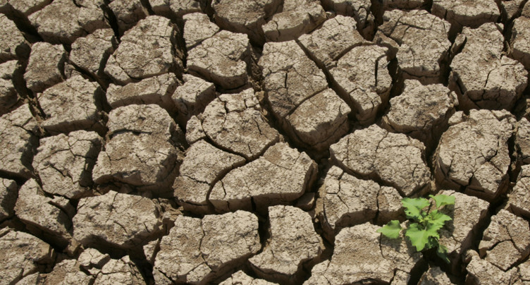 Objectif climatique 2040: déjà des embûches au Parlement européen