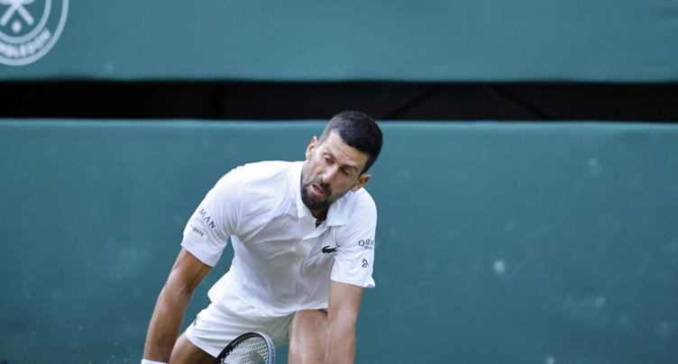 Novak Djokovic pour une revanche