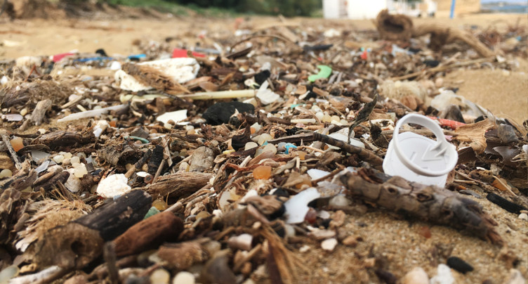 Un catalogue complet des polluants contenus dans les plastiques