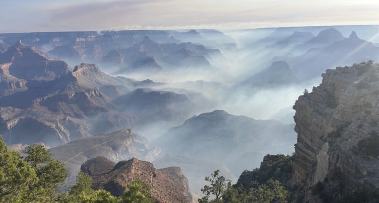 Touristes évacués du Grand Canyon à cause d'un vaste incendie