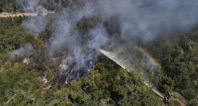 Syrie: lesfeux de forêts maîtrisés après 10 jours