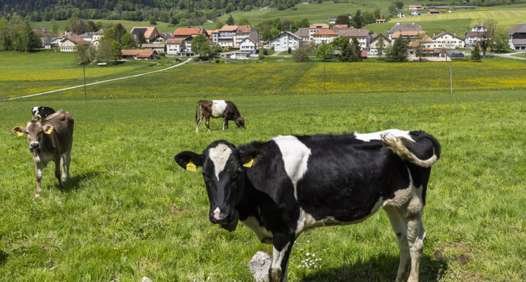 Les Suisses sont globalement satisfaits de leur vie