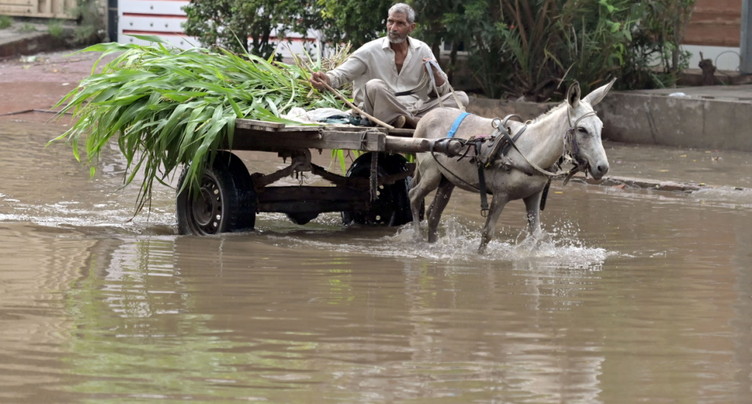 Pakistan: 54 morts en 24h dans des pluies en pleine mousson