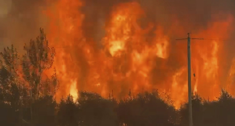 Canada: Six millions d'hectares brûlés par les feux de forêt