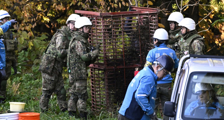 Japon: les policiers autorisés à abattre des ours