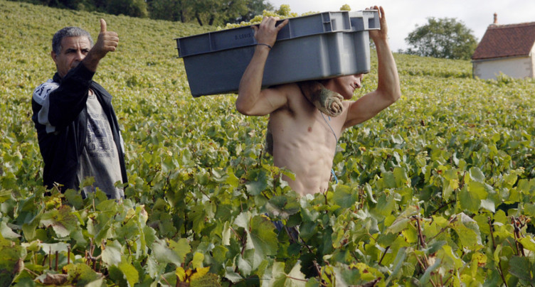 France: les clients asiatiques sauvent les enchères de Beaune