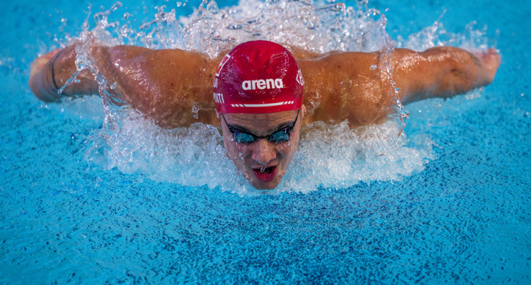 100 m papillon: Ponti en demi-finale aux Européens de Lublin