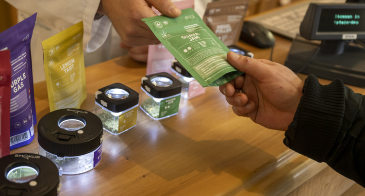 La légalisation du cannabis divise les esprits en Suisse