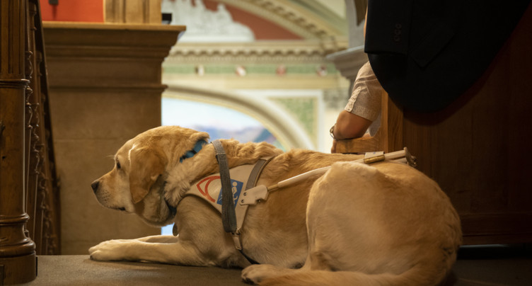 Régler la certification des formateurs de chiens d'assistance