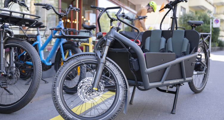 Les vélos cargos et « longtails » devraient avoir des plaques