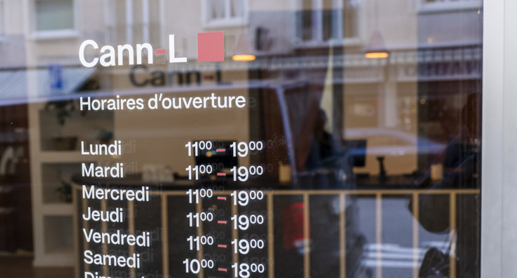Cann-L à Lausanne: 1700 inscrits et bilan positif après deux ans